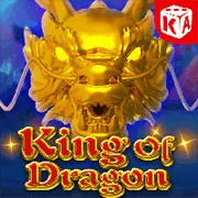 Hỗ trợ khách hàng 24/7